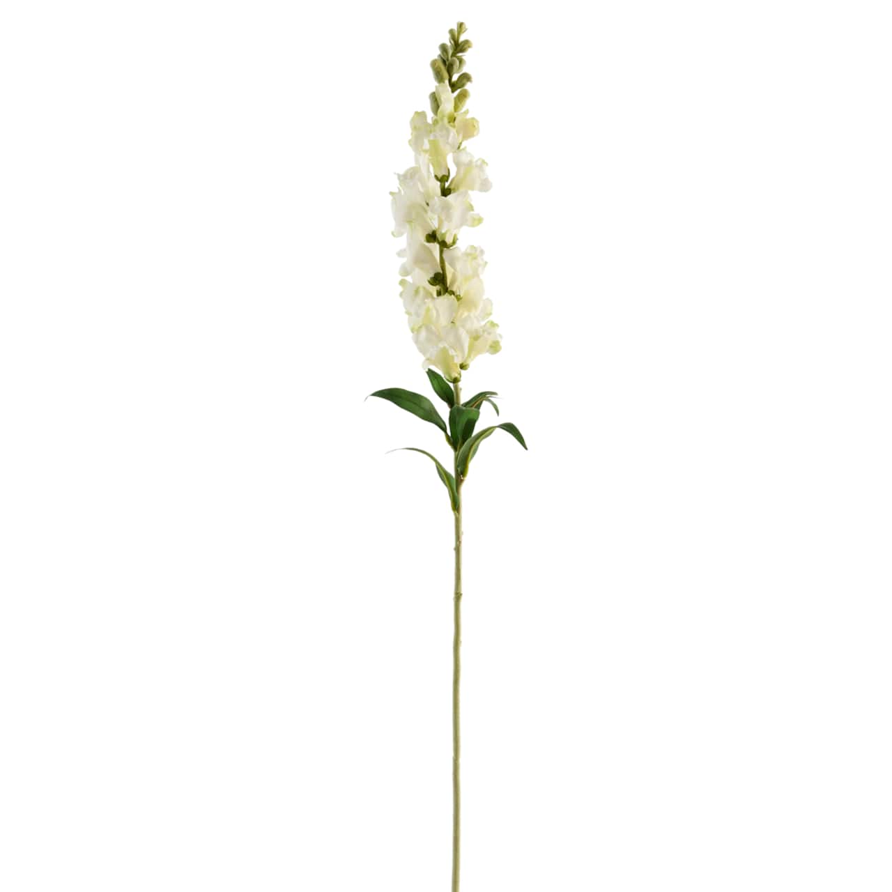 Cream Snapdragon Spray by Ashland®
